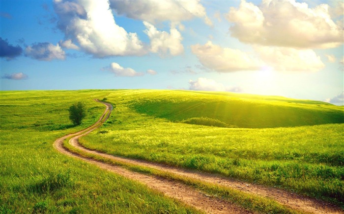 meadow-Microsoft Windows 8 system wallpaper Views:36616 Date:2012/4/15 20:59:19