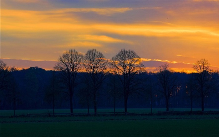 ciel orange-beaux fonds d'écran nature paysage Vues:9377