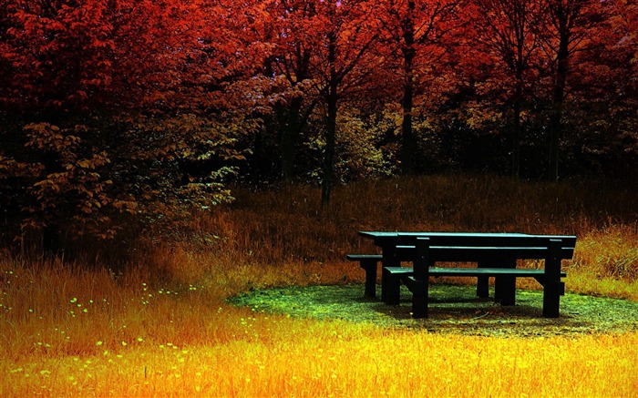 Autumn Season-Nature Wallpapers Views:12775 Date:2012/5/8 19:11:08