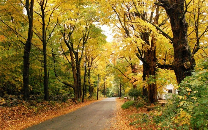 Autumn landscape-Nature Wallpapers Views:17120 Date:2012/5/8 19:10:23