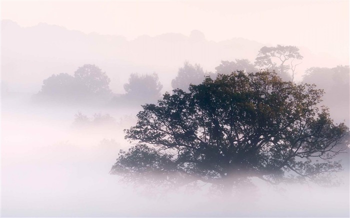 Brume du petit matin-Photographie paysage fond d'écran Vues:10855