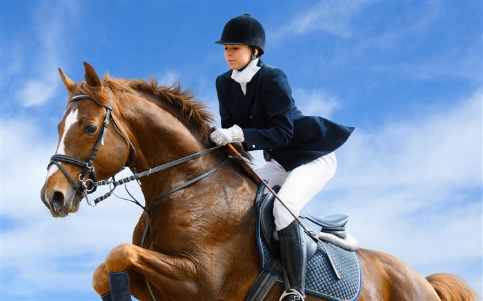 Equestrian-Sport wallpaper Views:11628 Date:2012/5/11 22:06:25