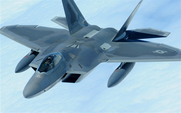 Papel de parede da F 22 Raptor-Military Visualizações:19967