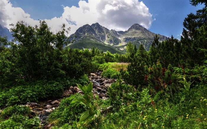 Papel de parede HDR-Mountain scenery Visualizações:14791