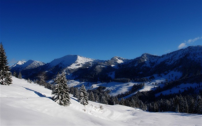 Montagnes de neige d'hiver-Fond d'écran paysage naturel Vues:14387