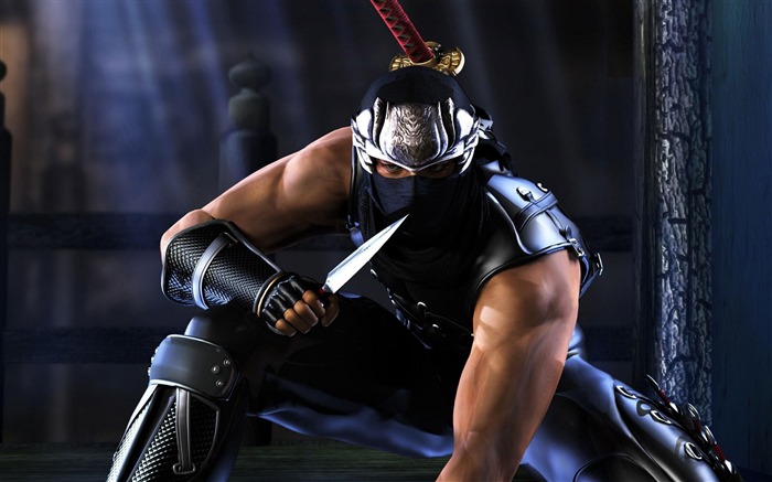 NINJA GAIDEN 3 Game HD Wallpaper Views:52151