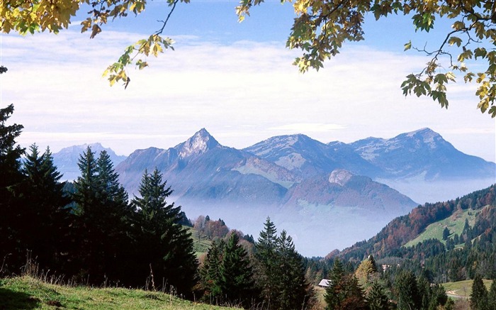 Suiza Bosque-Paisaje natural Fondo de escritorio HD Vistas:13865