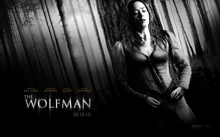 O Wolfman HD Movie Wallpaper 04 Visualizações:9629