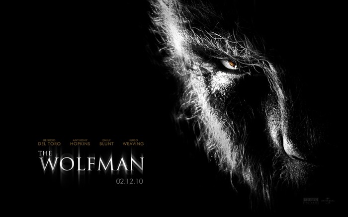 O Wolfman HD Movie Wallpaper 05 Visualizações:8919