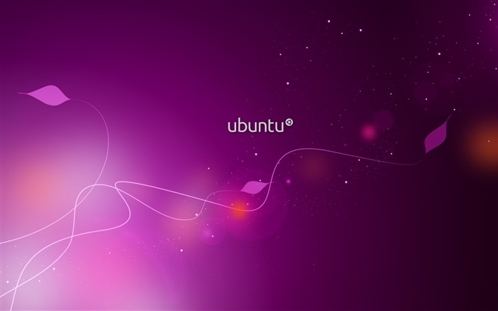 Ubuntuの紫-ブランド広告の壁紙 ブラウズ:26297