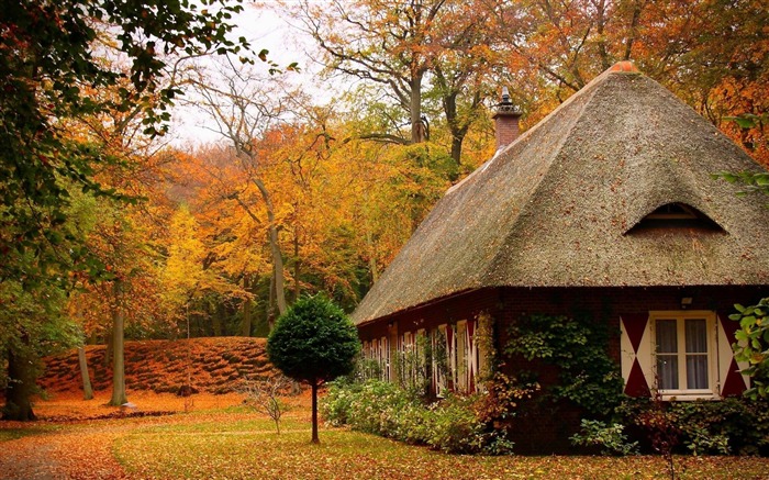 confortable maison Autumn House-Fonds d'écran Nature Vues:37760