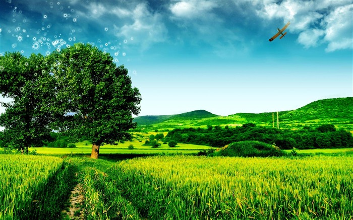 green tree fantasy landscape-Nature Wallpapers Views:57433 Date:2012/5/8 19:18:11