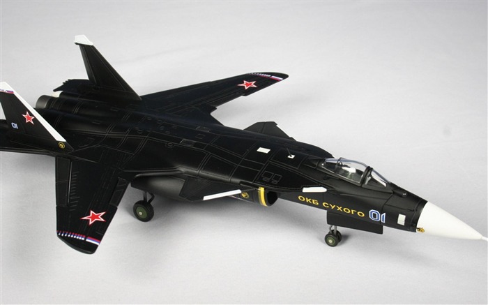 러시아어 sukhoi su 47- 군사 항공기 벽지 찾아보기 :21761