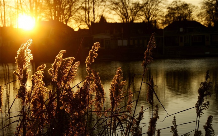 coucher de soleil Hengelo-fond d'écran paysage Néerlandais Vues:11041