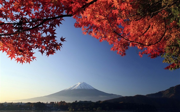 Mont Fuji automne-fond d'écran paysage Japon Vues:92853