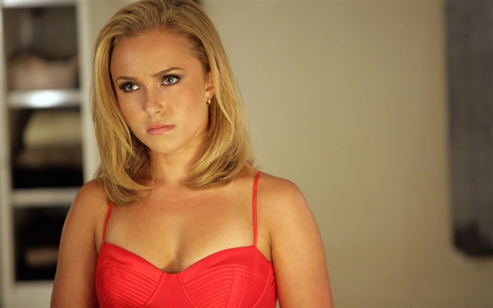 Hayden Panettiere beauté photo fond d'écran Vues:10553