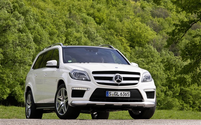 Mercedes-Benz GL 63 AMG Auto HD Fond d'écran Vues:22097