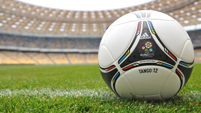 The Official Ball-Euro 2012 HD desktop wallpaper Views:7783 Date:2012/6/3 13:23:54