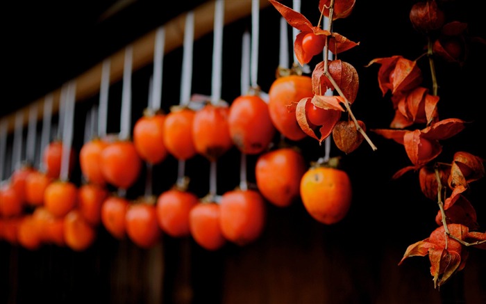 dried persimmons tsumago-Japan Landscape Wallpaper Views:14025 Date:2012/6/16 0:41:33