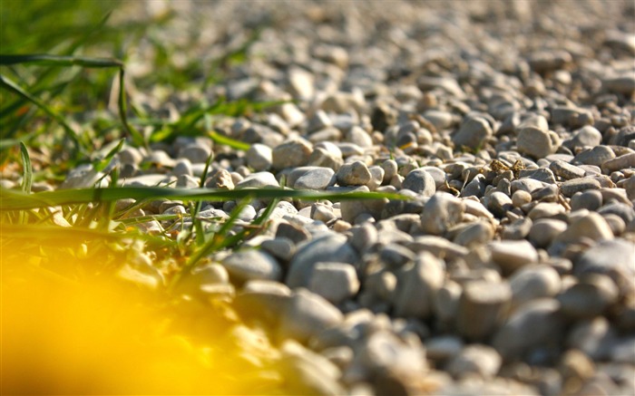 flash de papel de parede de paisagem amarelo-verão Visualizações:10333