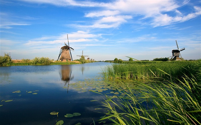 paisaje de molino de viento del río holanda-natural paisaje fondo de pantalla Vistas:28510