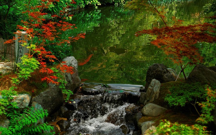 kyoto garden-Japan Landscape Wallpaper Views:46818 Date:2012/6/16 0:43:43