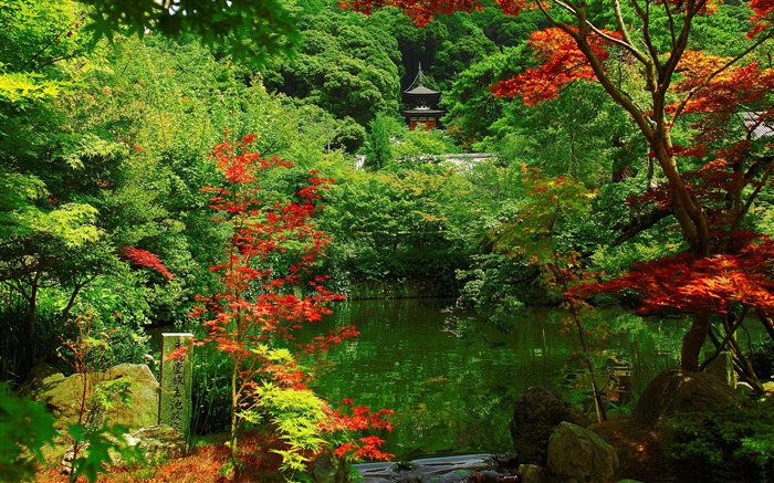 kyoto garden Beautiful-Japan Landscape Wallpaper Views:31420 Date:2012/6/16 0:44:24