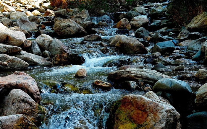 Mountain Creek - árboles Paisaje Fondos de escritorio Vistas:8976