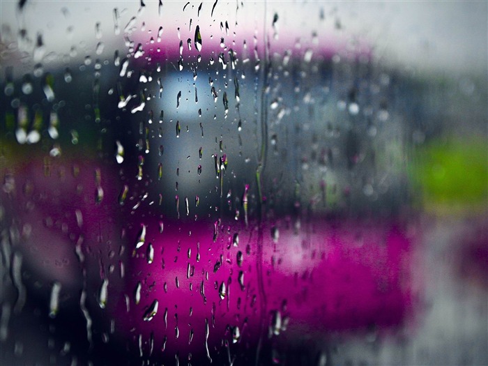 rainy day-High Quality wallpaper Views:13311 Date:2012/6/3 12:55:57