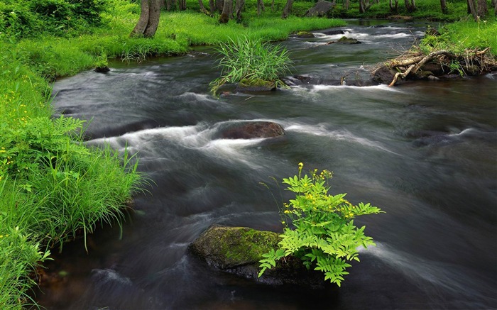 río a través de los ríos Papel pintado del paisaje Vistas:10774