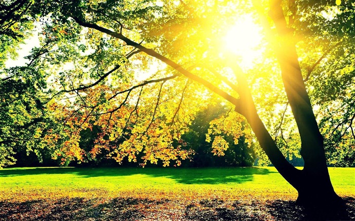 lever du soleil-Fond d'écran Paysage d'automne Vues:23455