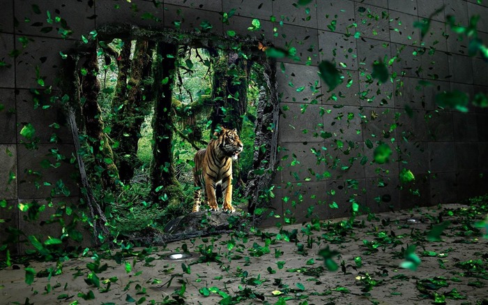 fotografía de papel de tigre-Animal Vistas:7760