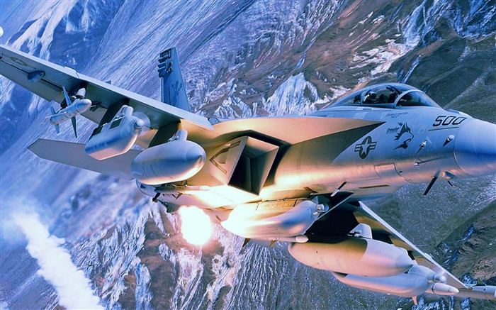 EA 18G-Military aircraft wallpaper Views:12689 Date:2012/7/20 12:59:41