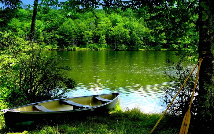 green Lake-Nature Paysage Fond d'écran Vues:24196