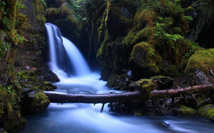 Virgin Creek Falls Alaska-Natureza rios Paisagem Wallpaper Visualizações:24701