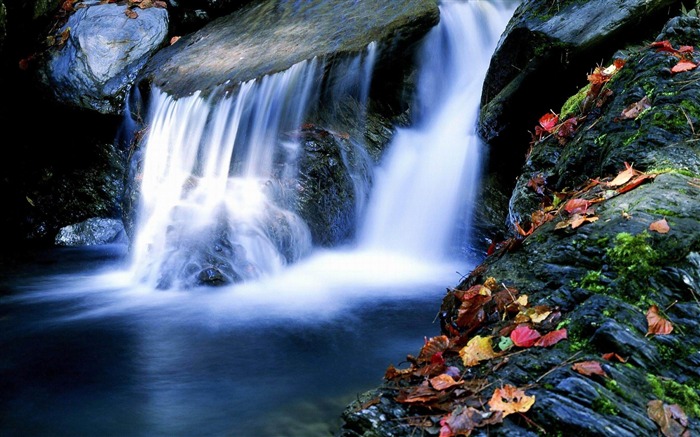 Cachoeira Maple-Nature rivers Landscape Wallpaper Visualizações:18821