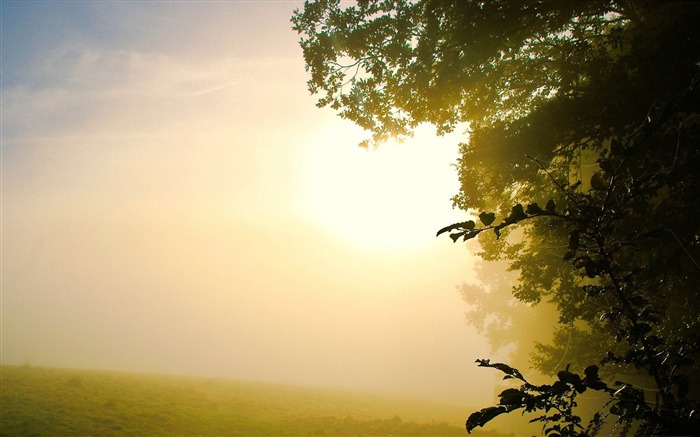 Fondo de pantalla de niebla-Paisaje Vistas:12361