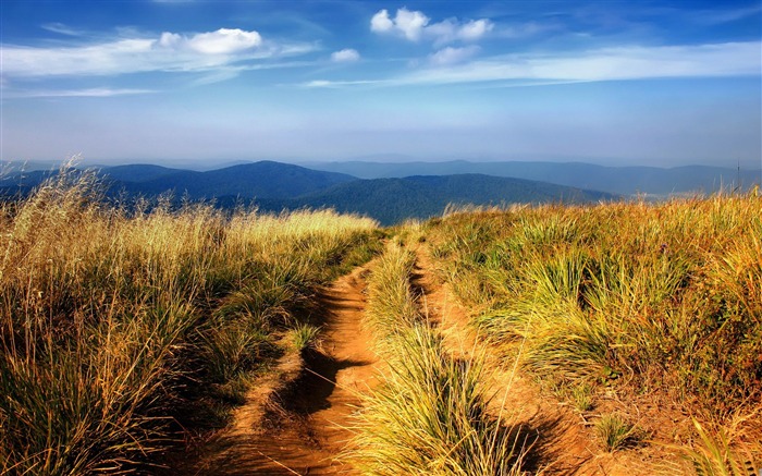 camino de senderismo-Paisaje Fondos de escritorio Vistas:14194