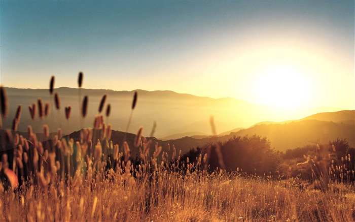 Fondo de pantalla de paisaje de verano Vistas:48492