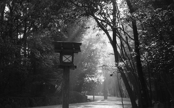 神社-日本の風景壁紙 ブラウズ:17890