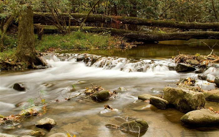 Streaming - Natureza rios Paisagem Wallpaper Visualizações:8990