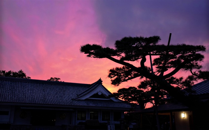 el crepúsculo sobre el fondo de pantalla del paisaje japonés del museo Vistas:10718