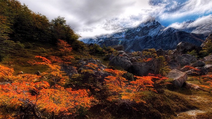 Paisaje alpino de los picos de la naturaleza Vistas:9949