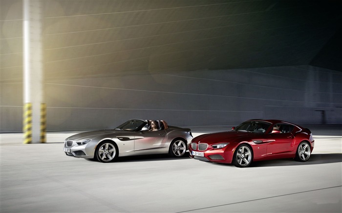 BMW Zagato Roadster Auto HD Wallpaper 14 Visualizações:9297