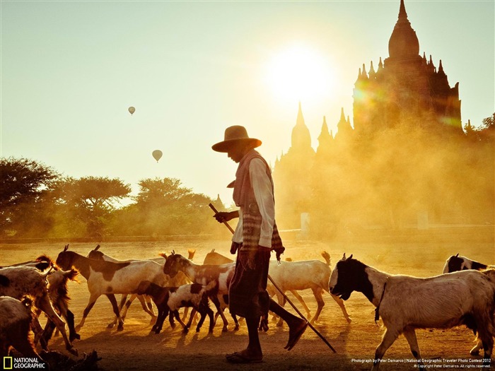 Bliss Bagan-Fond d'écran National Geographic Vues:16642