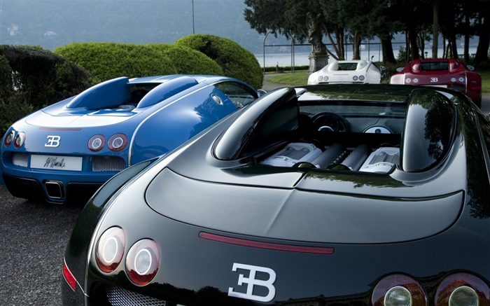 Fondo de escritorio de Bugatti Cars Vistas:15382