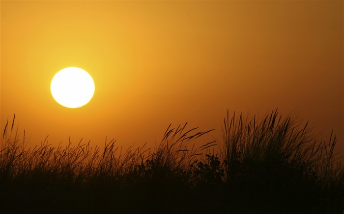 Armona coucher du soleil-Fonds d'écran Nature Vues:11426