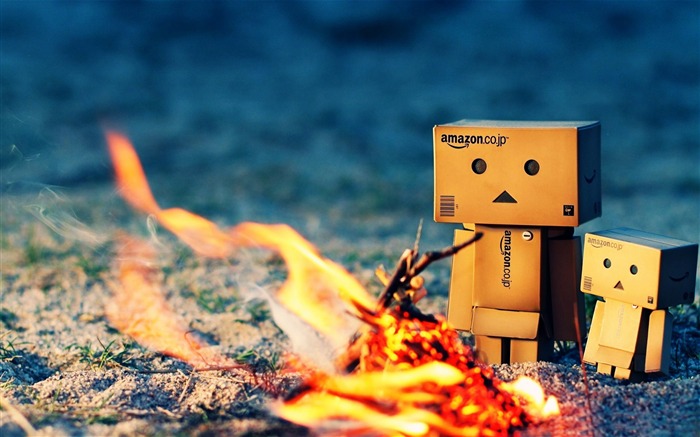 danbo feu de camp-Fond d'écran Creative Design Vues:20598