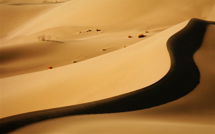 desert dune-landscape photo wallpapers Views:11351 Date:2012/8/24 2:32:30