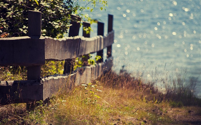 fence plants seaside-Summer landscape wallpaper Views:10813 Date:2012/8/8 19:52:23